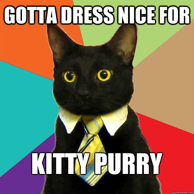 gotta dress nice for  kitty purry  Business Cat