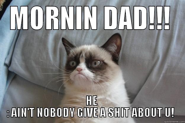 My Father's face after he wakes up: - MORNIN DAD!!! HE : AIN'T NOBODY GIVE A SHIT ABOUT U!  Grumpy Cat