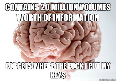 contains 20 million volumes worth of information Forgets where the fuck I put my keys  Scumbag Brain