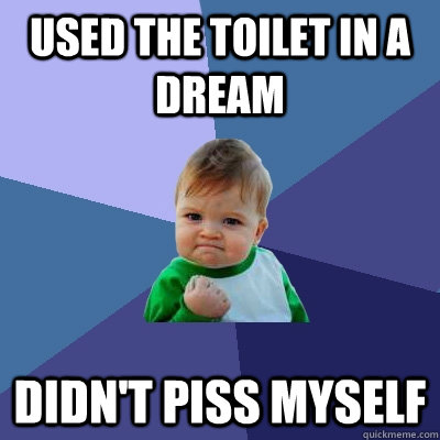 Used the toilet in a dream Didn't piss myself  Success Kid