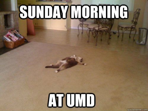 Sunday morning at UMD  