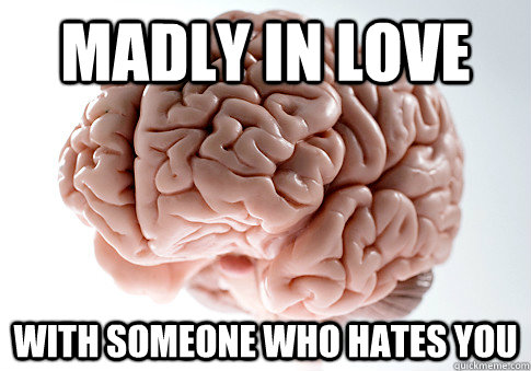 Madly in love with someone who hates you  Scumbag Brain