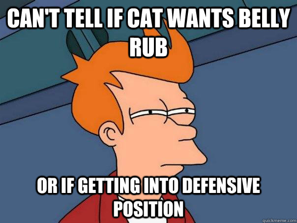 Can't tell if cat wants belly rub Or if getting into defensive position - Can't tell if cat wants belly rub Or if getting into defensive position  Futurama Fry