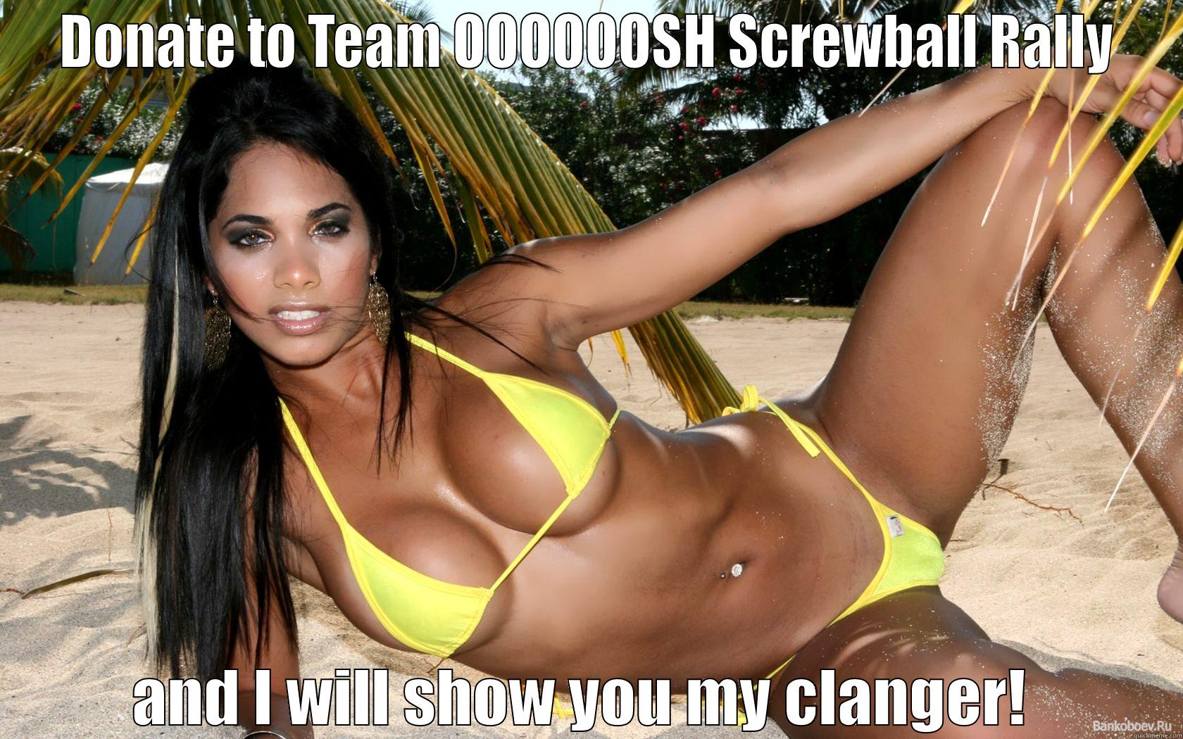 Donations time - DONATE TO TEAM OOOOOOSH SCREWBALL RALLY AND I WILL SHOW YOU MY CLANGER!  Misc