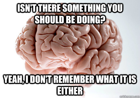 isn't there something you should be doing? Yeah, I don't remember what it is either  - isn't there something you should be doing? Yeah, I don't remember what it is either   Scumbag Brain