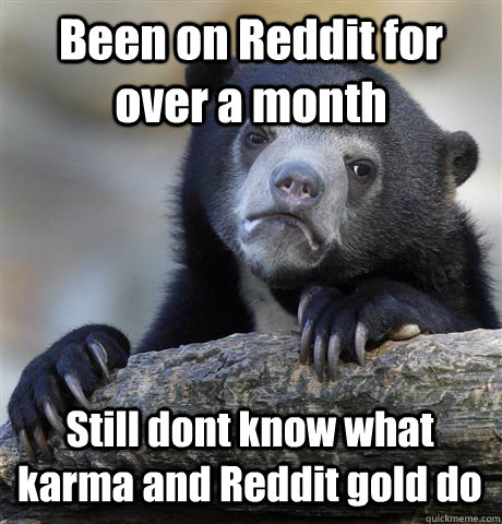 Been on Reddit for over a month Still dont know what karma and Reddit gold do  Confession Bear