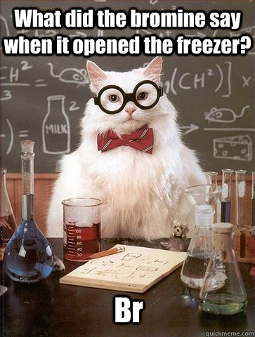 What did the bromine say when it opened the freezer? Br - What did the bromine say when it opened the freezer? Br  Chemistry Cat