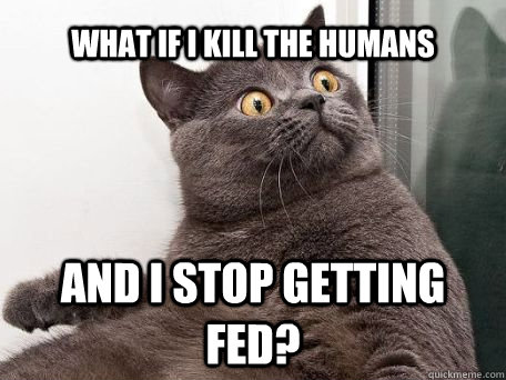 What if I kill the humans and I stop getting fed?  conspiracy cat