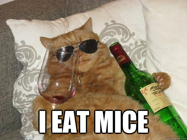  I EAT MICE  Party Cat