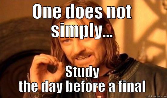 ONE DOES NOT SIMPLY... STUDY THE DAY BEFORE A FINAL Boromir