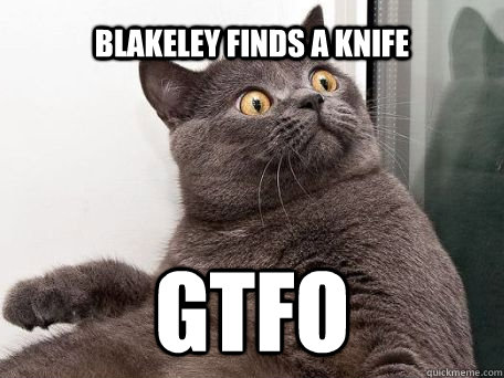 Blakeley finds a knife gtfo  conspiracy cat