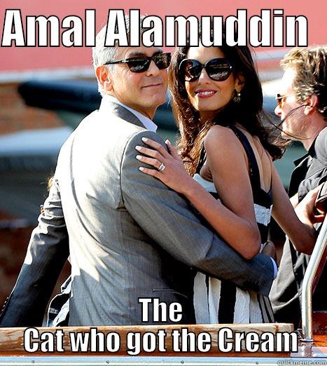 AMAL ALAMUDDIN   THE CAT WHO GOT THE CREAM Misc