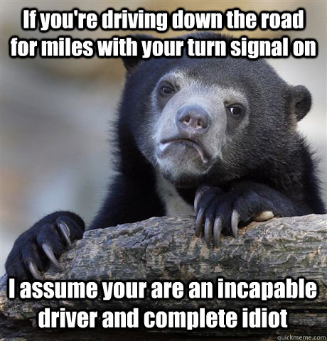 If you're driving down the road for miles with your turn signal on I assume your are an incapable driver and complete idiot - If you're driving down the road for miles with your turn signal on I assume your are an incapable driver and complete idiot  Confession Bear