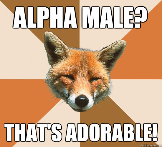 Alpha male? that's adorable!  Condescending Fox