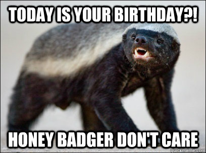 Today is your birthday?! Honey badger don't care   Honey Badger Birthday