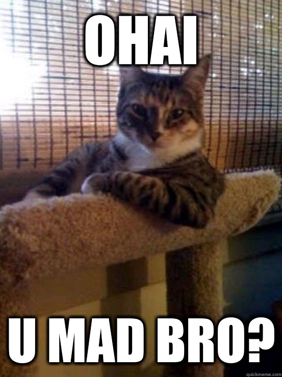 Ohai U mad bro?  The Most Interesting Cat in the World