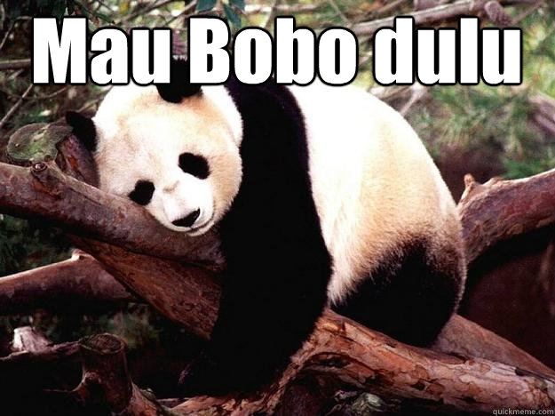 Mau Bobo dulu   Procrastination Panda