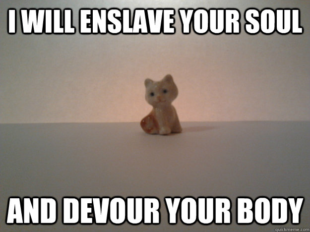 I will enslave your soul and devour your body - I will enslave your soul and devour your body  Misc