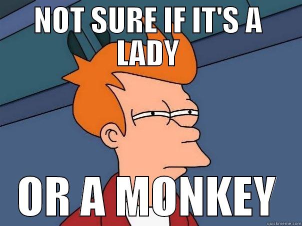 NOT SURE IF IT'S A LADY OR A MONKEY Futurama Fry