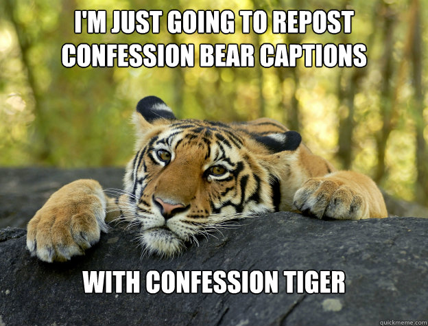 I'm just going to repost Confession bear captions with confession Tiger  Confession Tiger