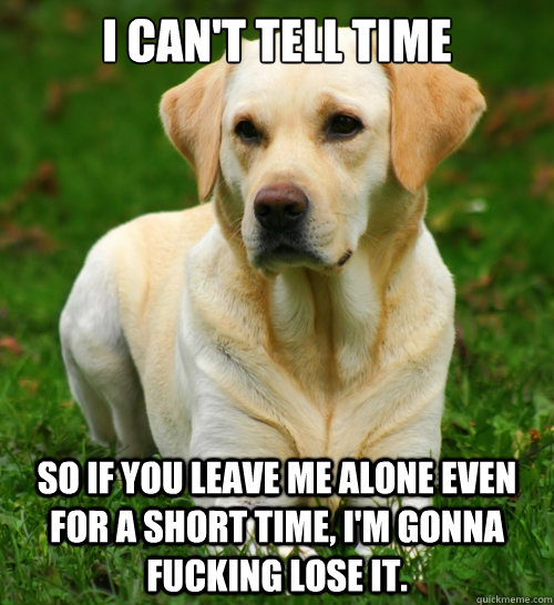 I can't tell time So if you leave me alone even for a short time, I'm gonna fucking lose it.  Dog Logic