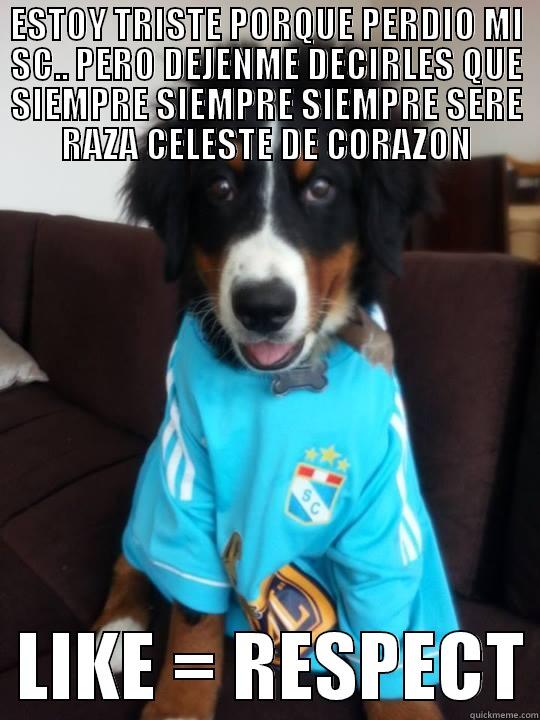 ESTOY TRISTE PORQUE PERDIO MI SC.. PERO DEJENME DECIRLES QUE SIEMPRE SIEMPRE SIEMPRE SERE RAZA CELESTE DE CORAZON   LIKE = RESPECT Misc