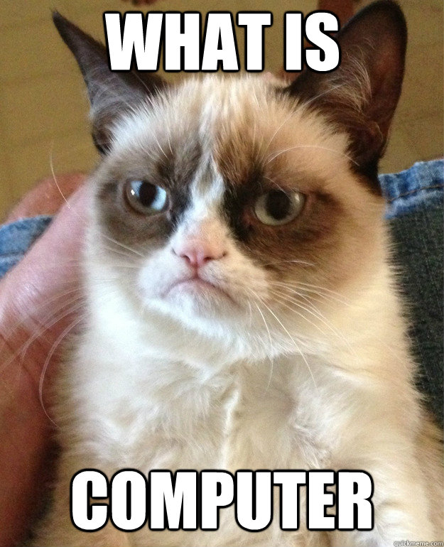 What is Computer  Grumpy Cat