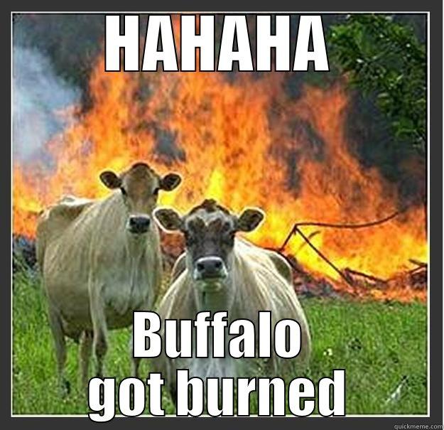 sabres and habs - HAHAHA BUFFALO GOT BURNED Evil cows