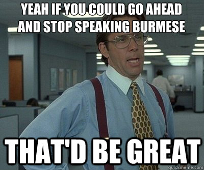 That'd be great Yeah if you could go ahead and stop speaking Burmese  