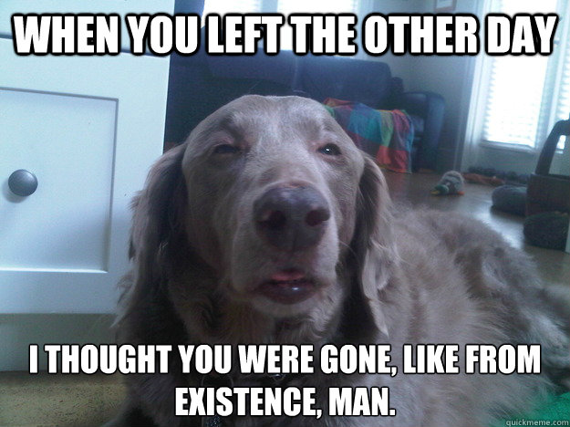 when you left the other day I thought you were gone, like from existence, man. - when you left the other day I thought you were gone, like from existence, man.  Stoned dog thoughts