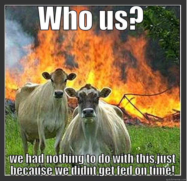 WHO US? WE HAD NOTHING TO DO WITH THIS,JUST BECAUSE WE DIDNT GET FED ON TIME! Evil cows