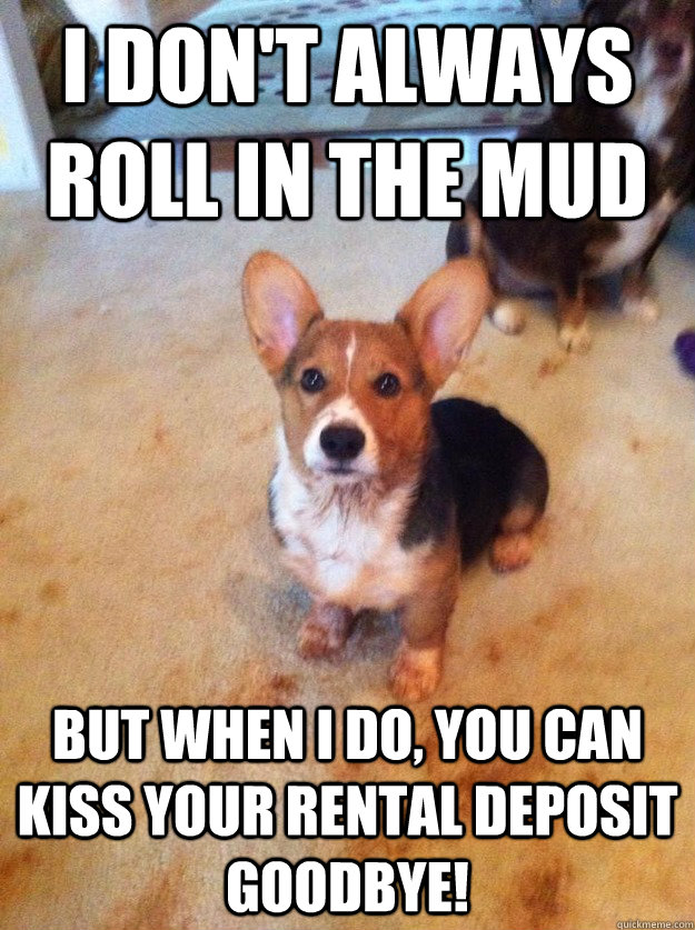 I don't always roll in the mud but when I do, you can kiss your rental deposit goodbye!  mudpuppy