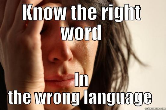 Growing up bilingual this is a real problem - KNOW THE RIGHT WORD IN THE WRONG LANGUAGE  First World Problems