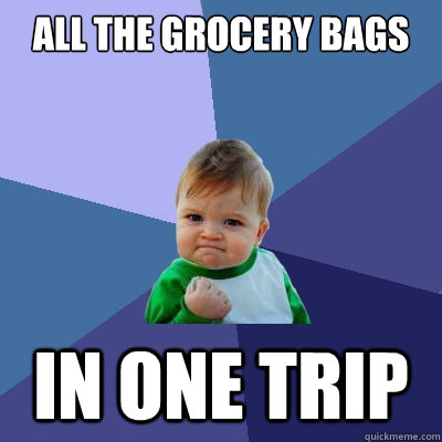 All the grocery bags in one trip - All the grocery bags in one trip  Success Kid