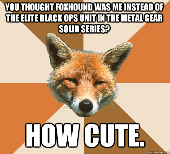 You thought foxhound was me instead of the elite black ops unit in the metal gear solid series?  how cute.  Condescending Fox