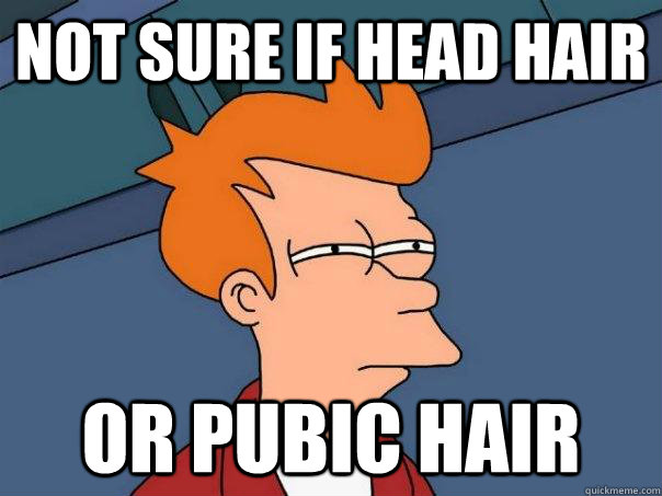 Not sure if head hair Or pubic hair  Futurama Fry