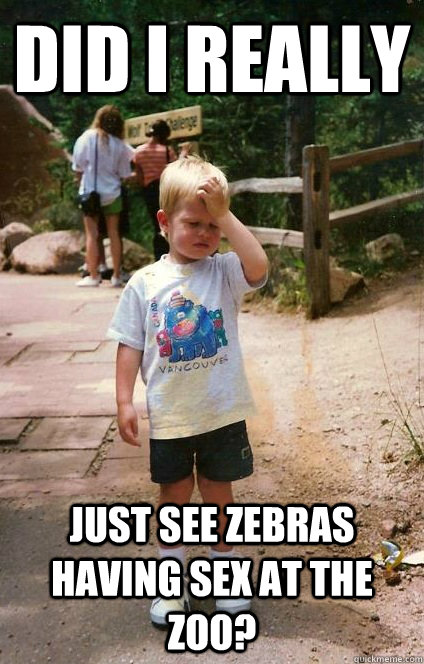 Did I really just see zebras having sex at the zoo?  Regretful Toddler