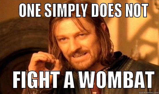     ONE SIMPLY DOES NOT     FIGHT A WOMBAT Boromir