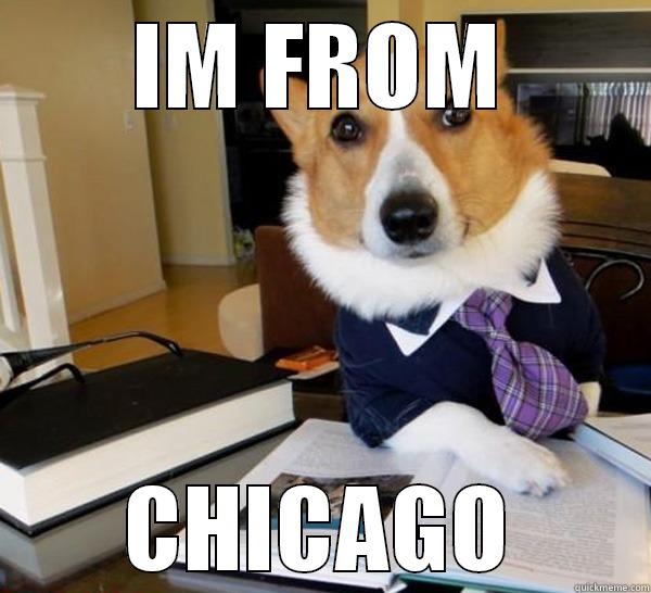 Mich elle - IM FROM CHICAGO Lawyer Dog