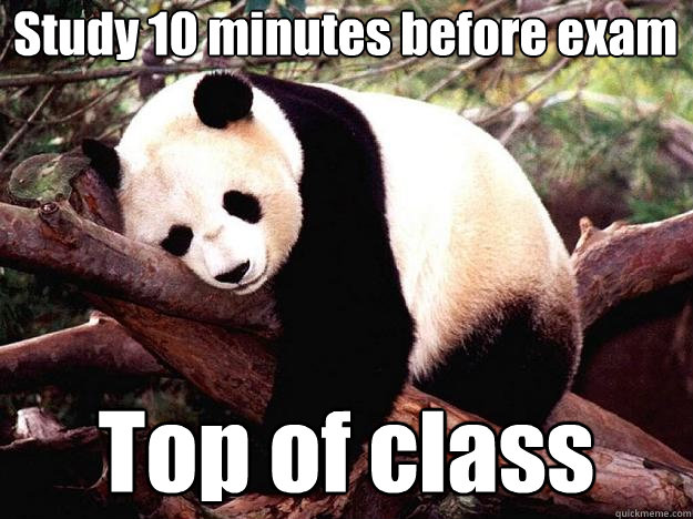 Study 10 minutes before exam Top of class  Procrastination Panda