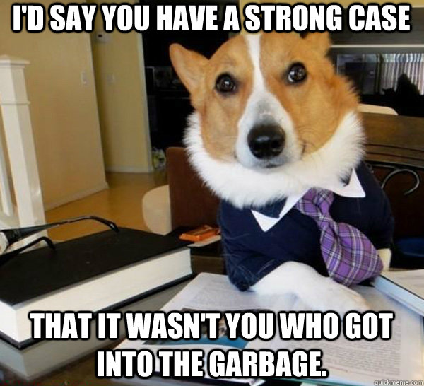 I'd say you have a strong case That it wasn't you who got into the garbage.  Lawyer Dog