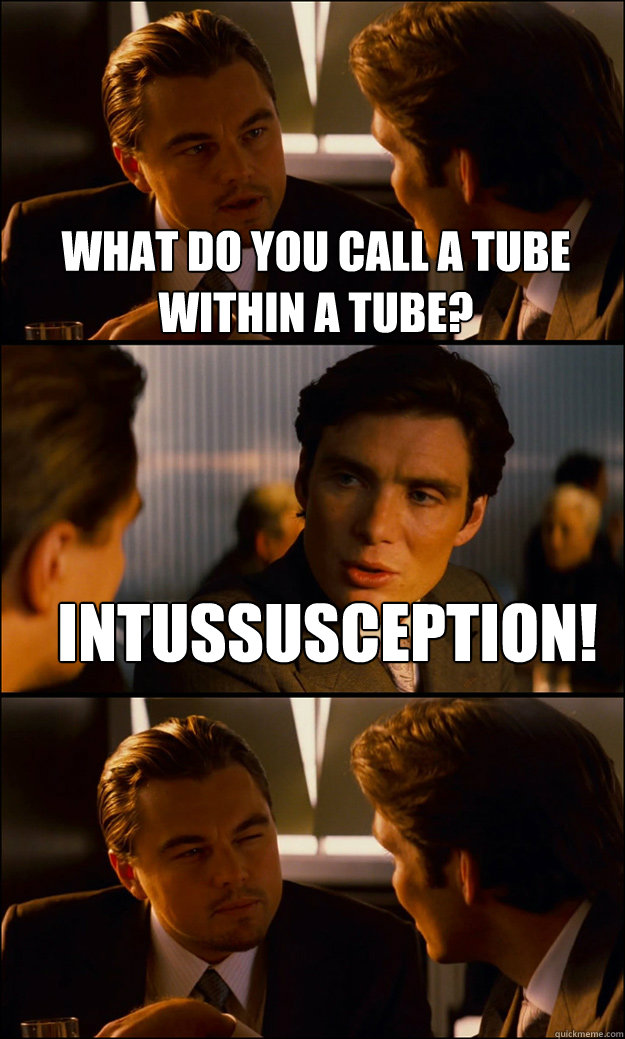 What do you call a tube within a tube? Intussusception!   Inception