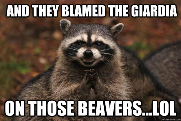  and they blamed the giardia on those beavers...lol -  and they blamed the giardia on those beavers...lol  Evil Plotting Raccoon