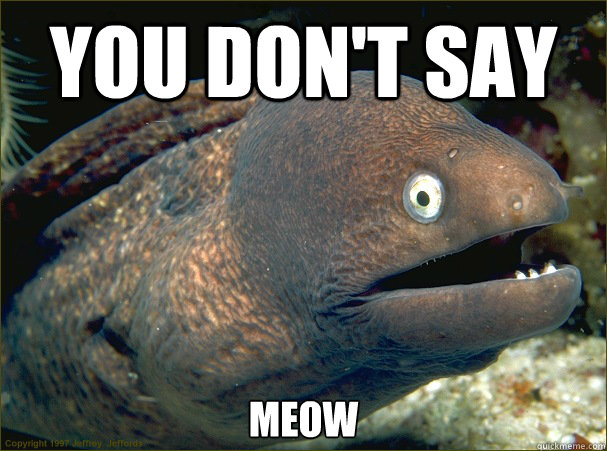 You don't say meow  Bad Joke Eel