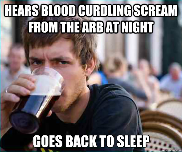 Hears blood curdling scream from the arb at night goes back to sleep  Lazy College Senior