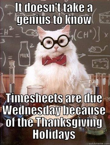 IT DOESN'T TAKE A GENIUS TO KNOW TIMESHEETS ARE DUE WEDNESDAY BECAUSE OF THE THANKSGIVING HOLIDAYS Chemistry Cat