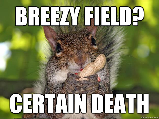 Breezy Field? Certain death  Incorrectly Presumptuous Squirrel