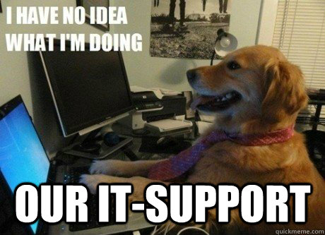  Our IT-support  I have no idea what Im doing dog