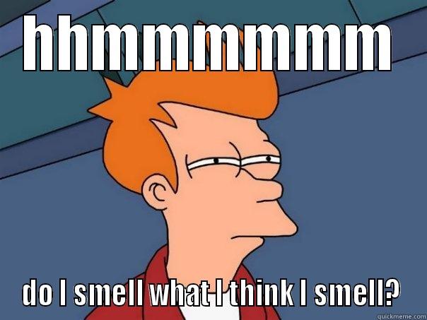 I'm not sure... - HHMMMMMM DO I SMELL WHAT I THINK I SMELL? Futurama Fry