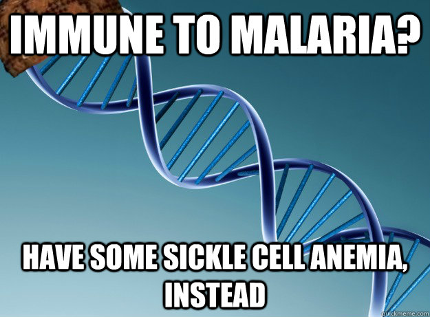 Immune to Malaria? Have some sickle cell anemia, instead  Scumbag Genetics